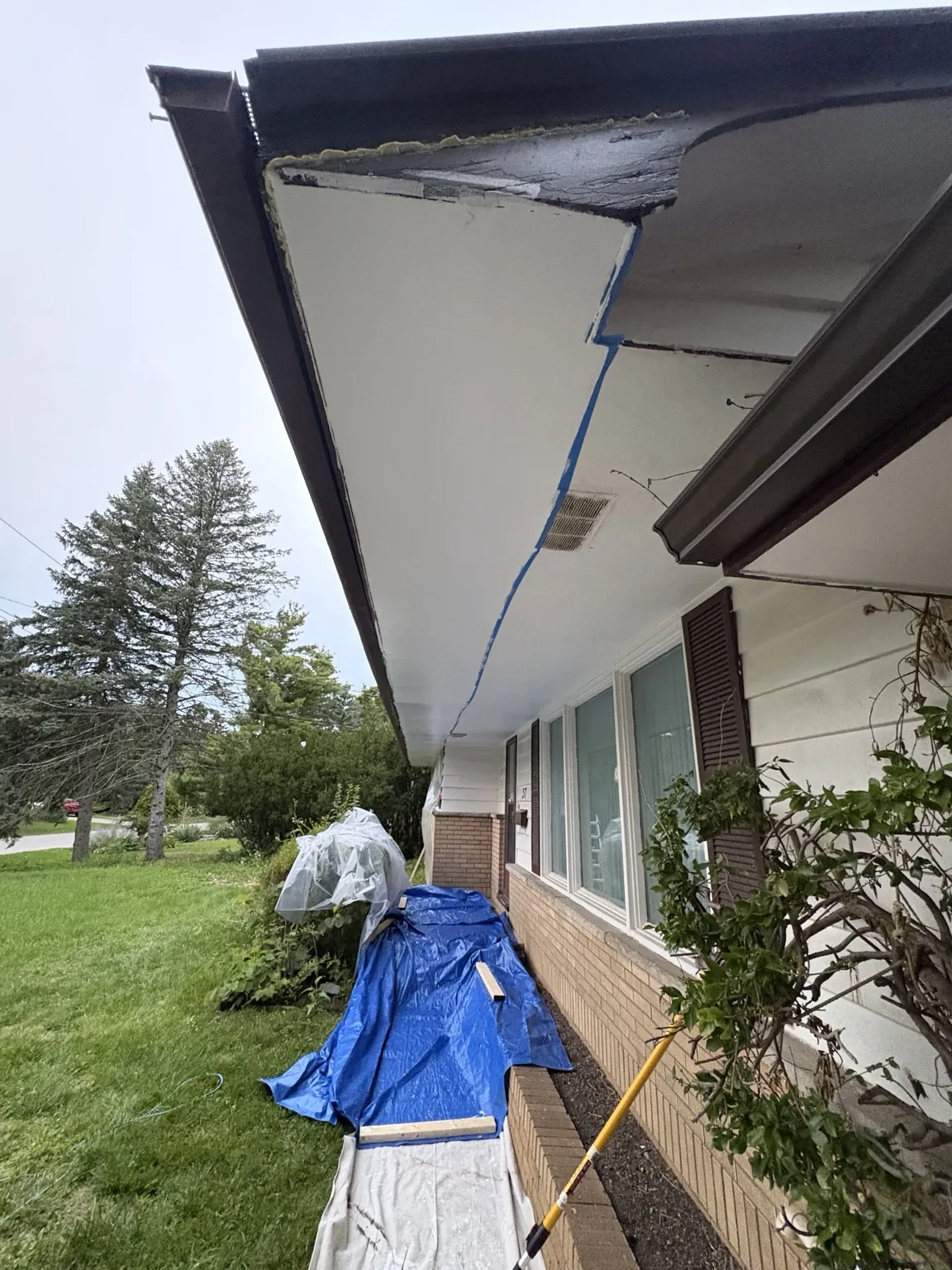 Exterior soffit painting project