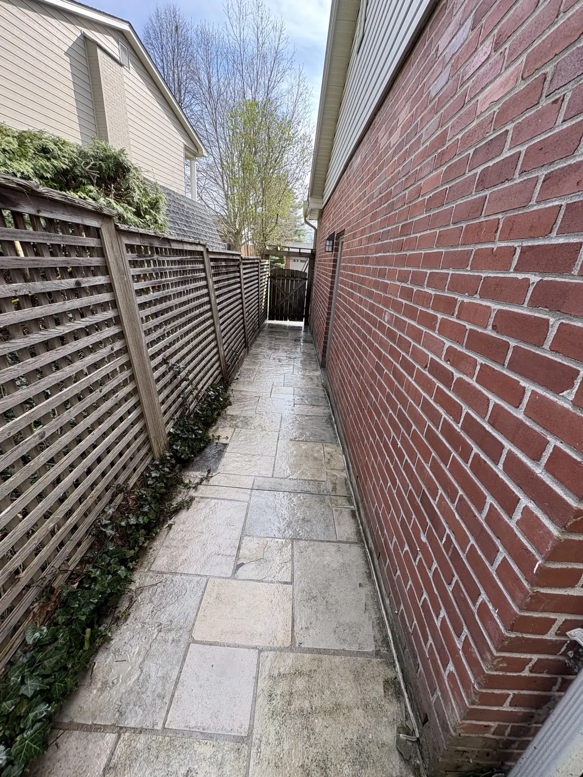 Walkway after pressure washing