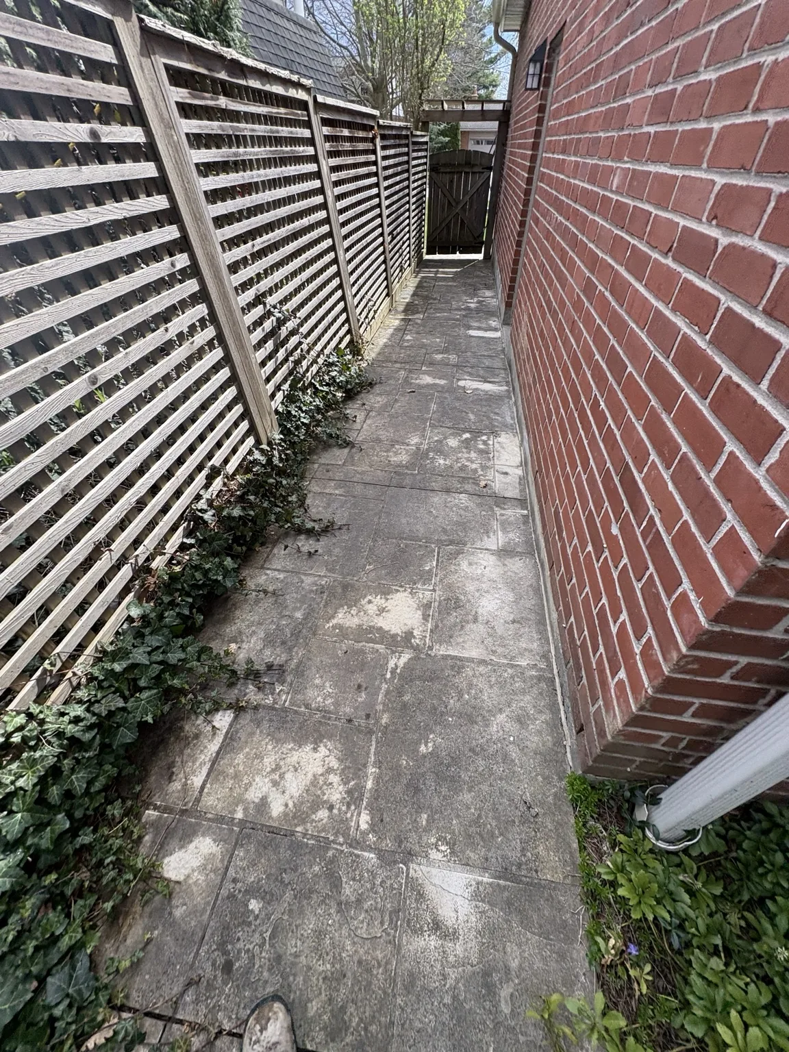 Walkway before pressure washing